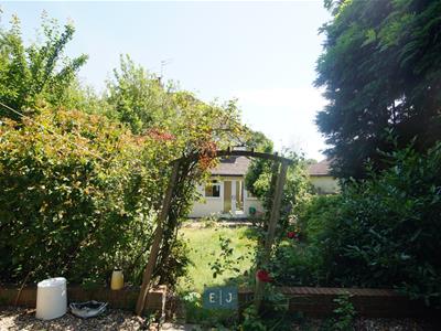 Picture 24